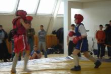 Resize of DSC08334.JPG